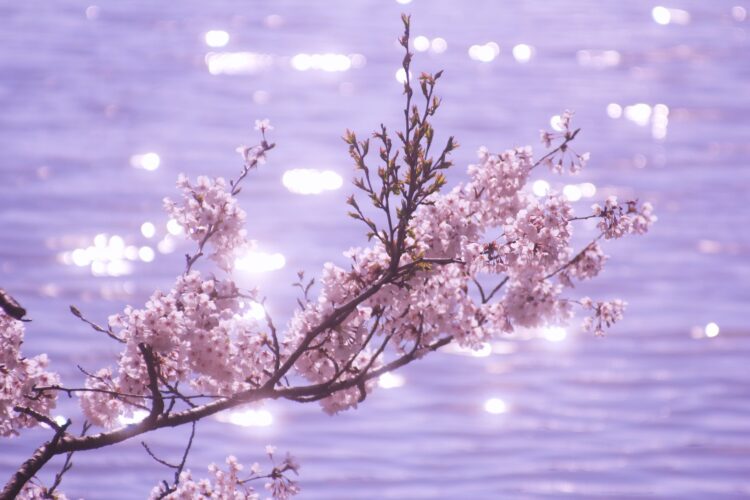 Lay Pastors have a God-given assignment (Susan)